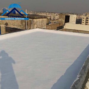 Reliable roofing company in Karachi by Paragon Chemical Services