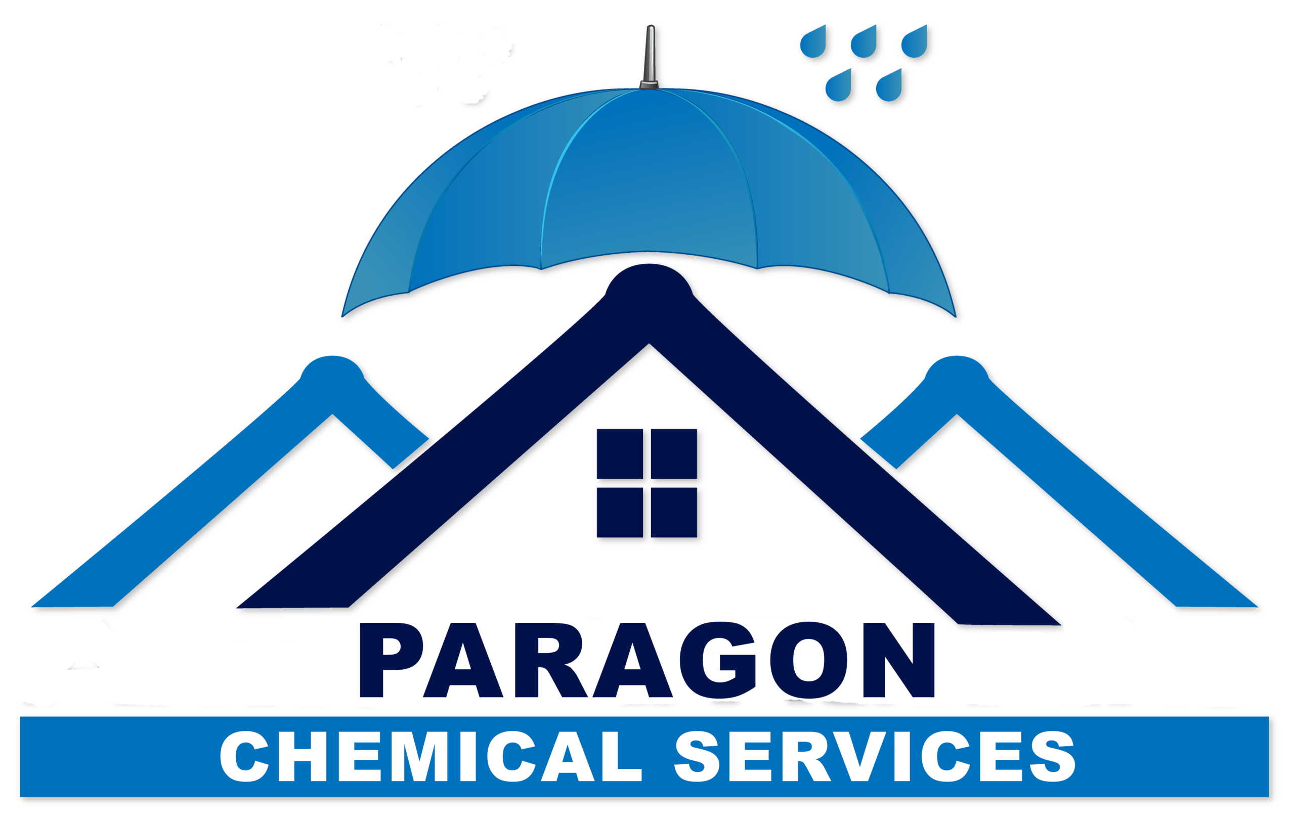 Paragon Chemical Services